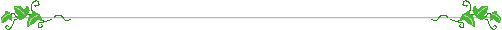 line_14.gif
